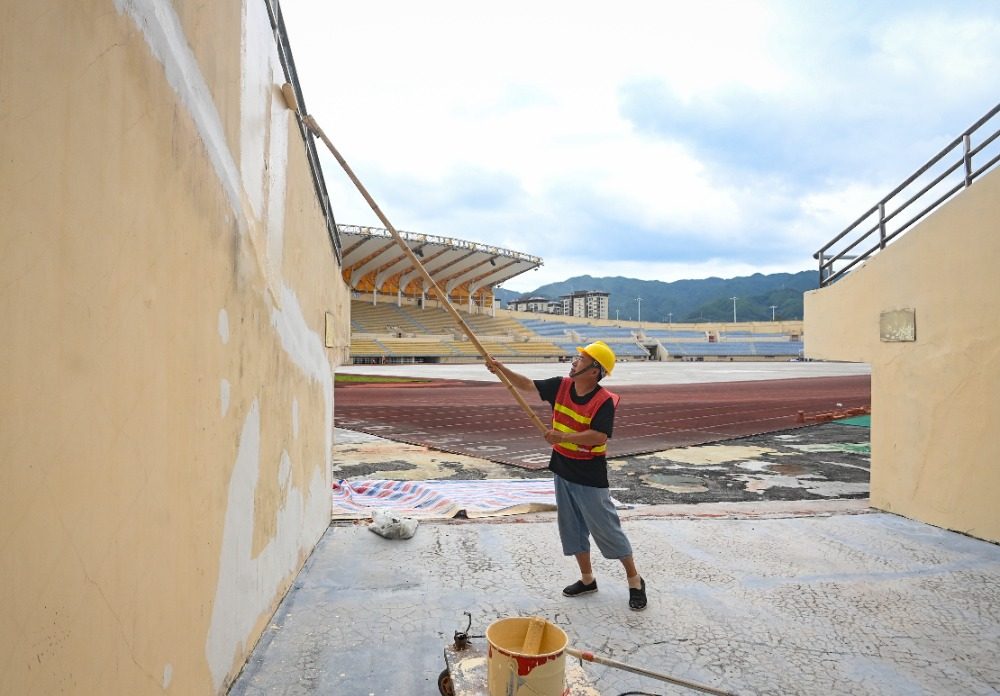 的人工草坪 的人工草坪